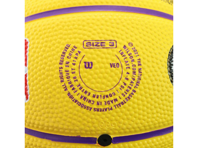 Wilson NBA Player Icon Mini - Баскетбольний Міні-М'яч