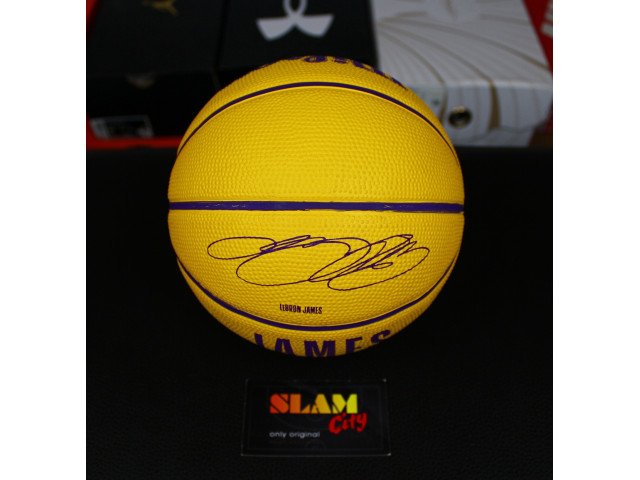 Wilson NBA Player Icon Mini - Баскетбольний Міні-М'яч