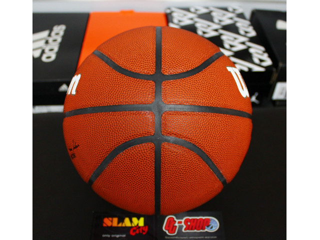 Wilson NBA Team Alliance Basketball - Баскетбольный Мяч