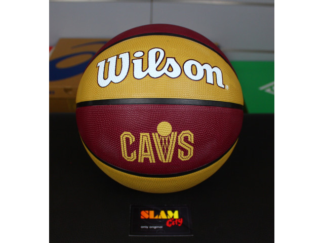 Wilson NBA Team Tribute - Универсальный баскетбольный мяч