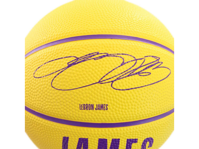 Wilson NBA Player Icon Mini - Баскетбольний Міні-М'яч