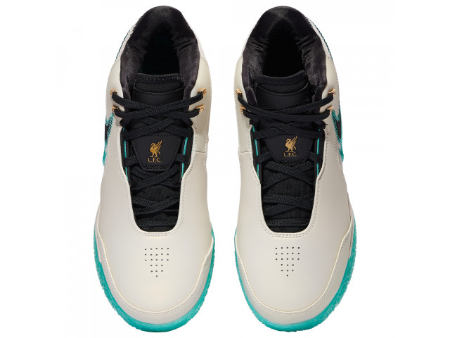 Nike Zoom LeBron NXXT Gen Amped - Баскетбольні Кросівки