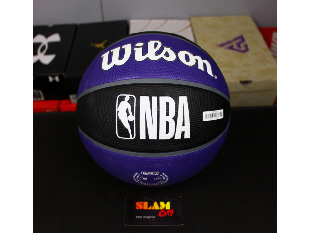 Wilson NBA Team Tribute - Универсальный баскетбольный мяч