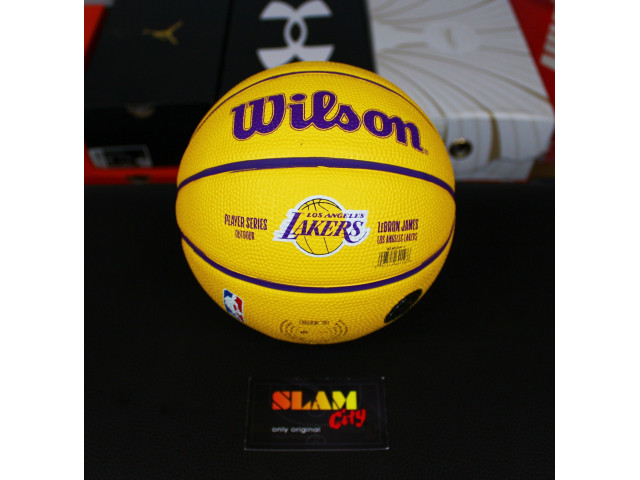 Wilson NBA Player Icon Mini - Баскетбольний Міні-М'яч