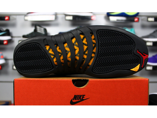 Air Jordan 12 Retro 